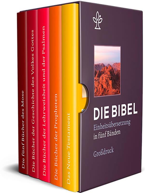 Bibel in 5 Einzelbüchern in Geschenkkassette - Großdruck
