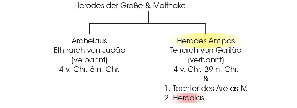Stammbaum Herodes und Malthake