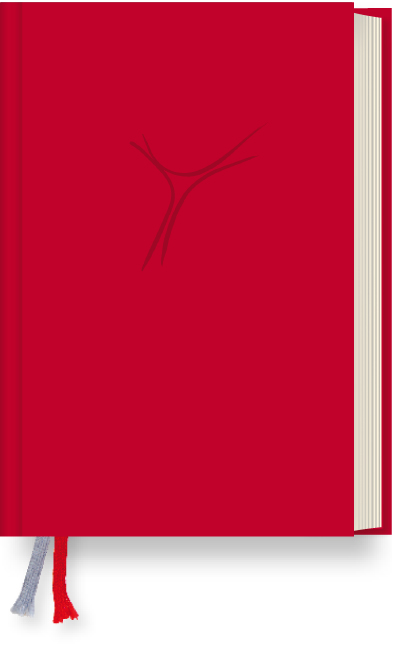 Gotteslob Köln Kunststoff rot