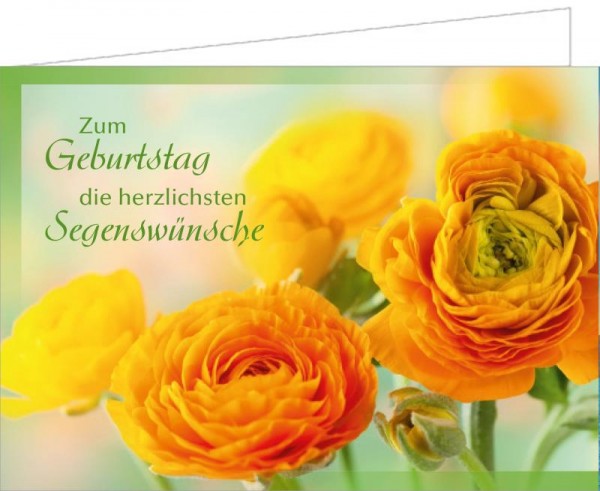 Vorschau: Geburtstagskarte – Alles Gute & Gottes Segen inkl. Umschlag (301030) - Detailansicht 1